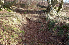 The oldest of the Swffryd levels, January 2011
